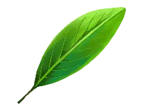 Condomini energia rinnovabile